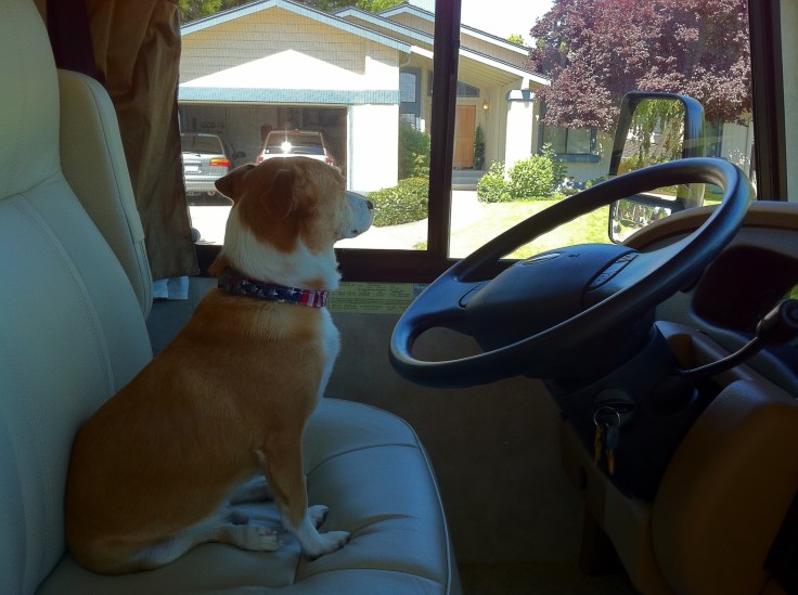 Charlie is ready for his first RV trip!