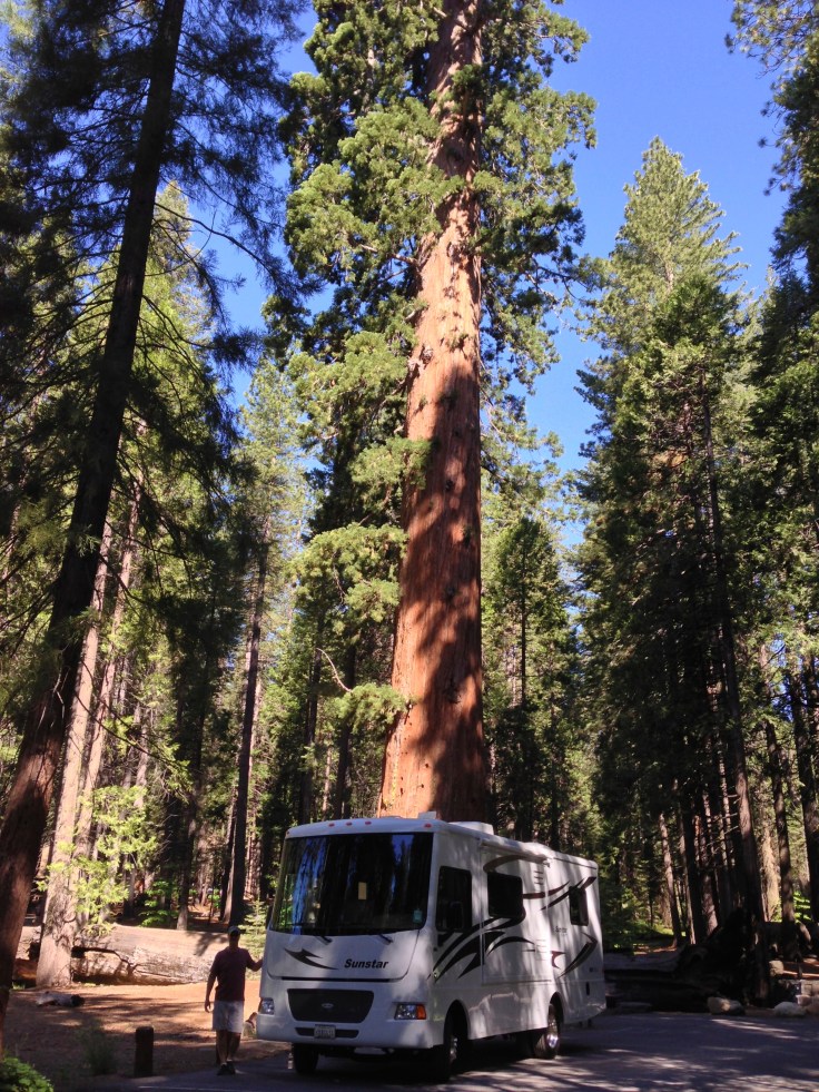 It's hard to capture the true size and grandeur of the Giant Sequoias