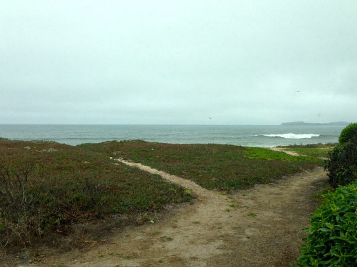 View from our site at Half Moon Bay State Beach