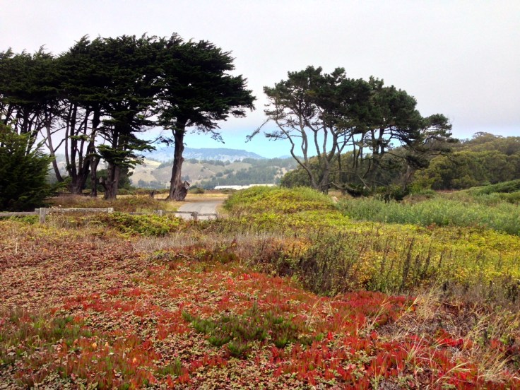 Half Moon Bay State Beach