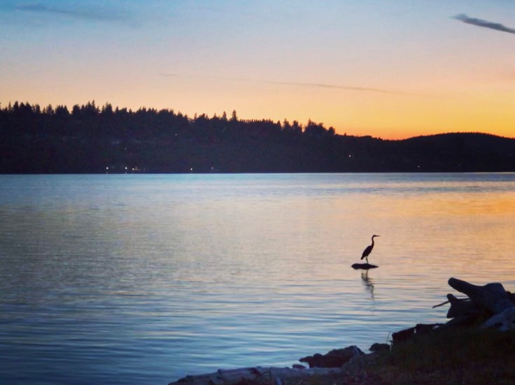 0CBBBD7D-8169-4448-9AFD-90FFCD503EC2