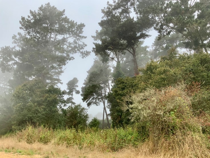 58853042879__0B0B833F-6F9C-4EED-89B4-A7CBE831A35C